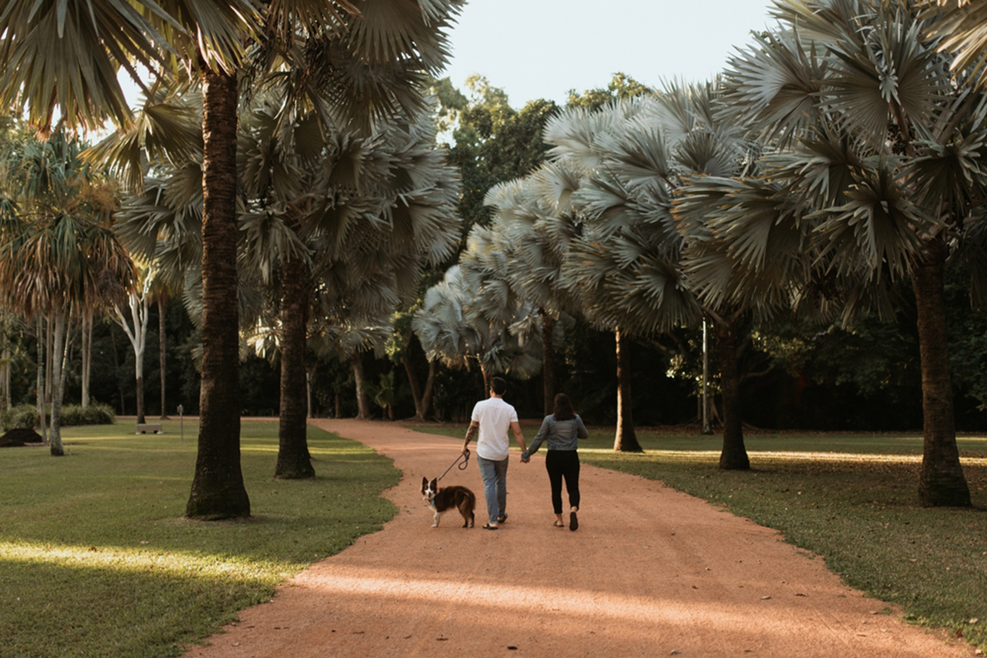 A Man And Woman Are Walking A Dog On A Leash In A Park — Life Legal in West End, QLD