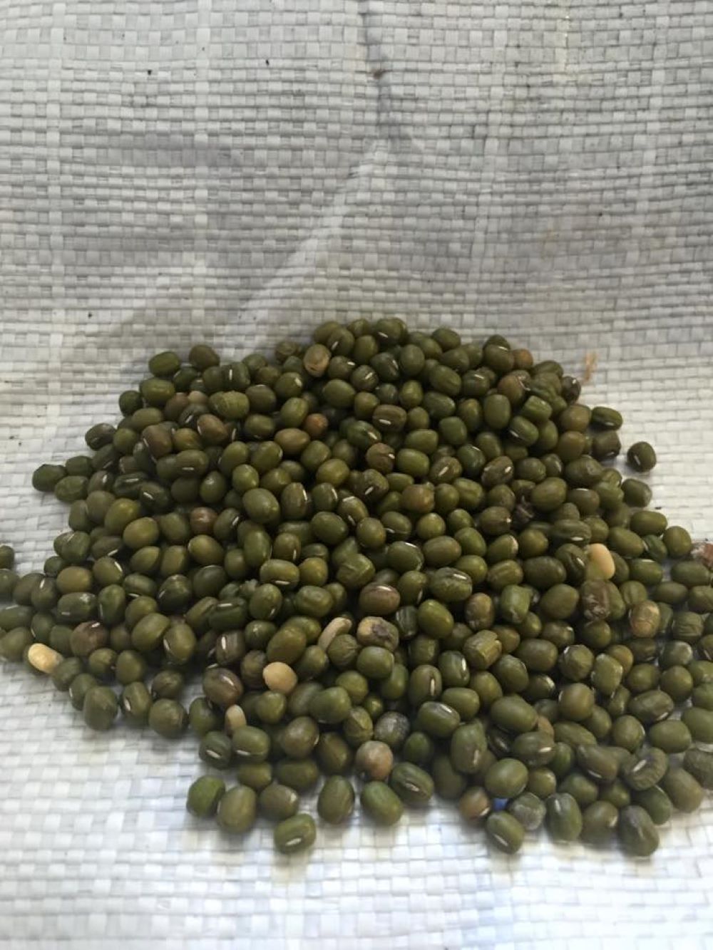 A Pile of Green Beans Sitting on Top of a White Cloth — Wallamore Grain & Produce In Gunnedah, NSW