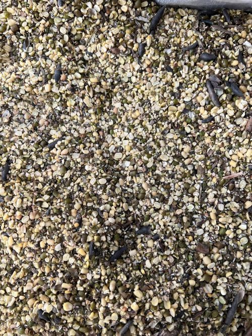 A Close Up of a Pile of Seeds With a Shovel in It — Wallamore Grain & Produce In Wallamore, NSW