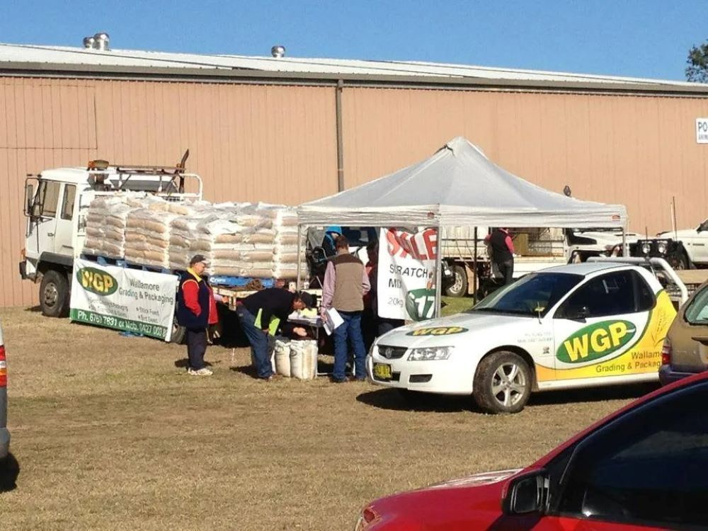 A WGP Car is Parked in a Parking Lot — Wallamore Grain & Produce In Wallamore, NSW