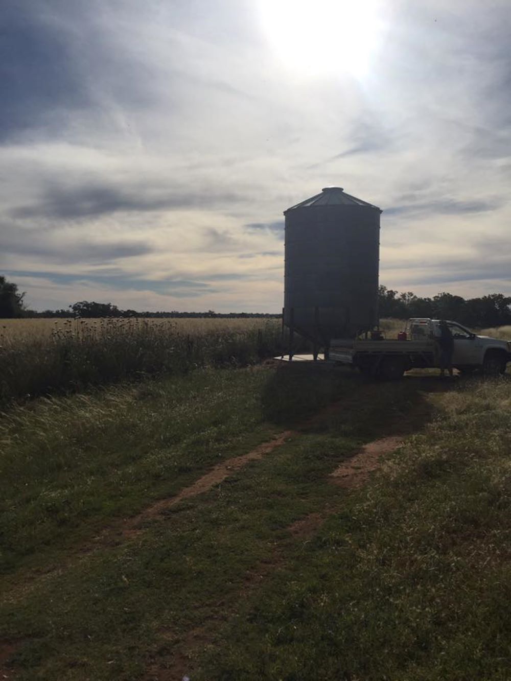 A Truck is Parked in a Field With a Silo in the Background — Wallamore Grain & Produce In Quirindi, NSW