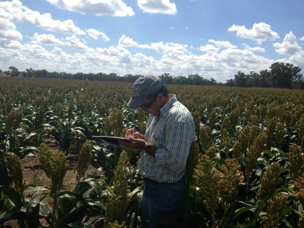 A Man Standing in a Field Looking at a Tablet — Wallamore Grain & Produce In Wallamore, NSW