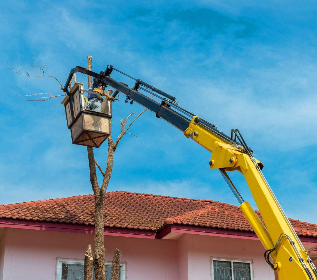 A yellow cherry picker with a worker trims a tree near a pink house with a red roof under a blue sky.