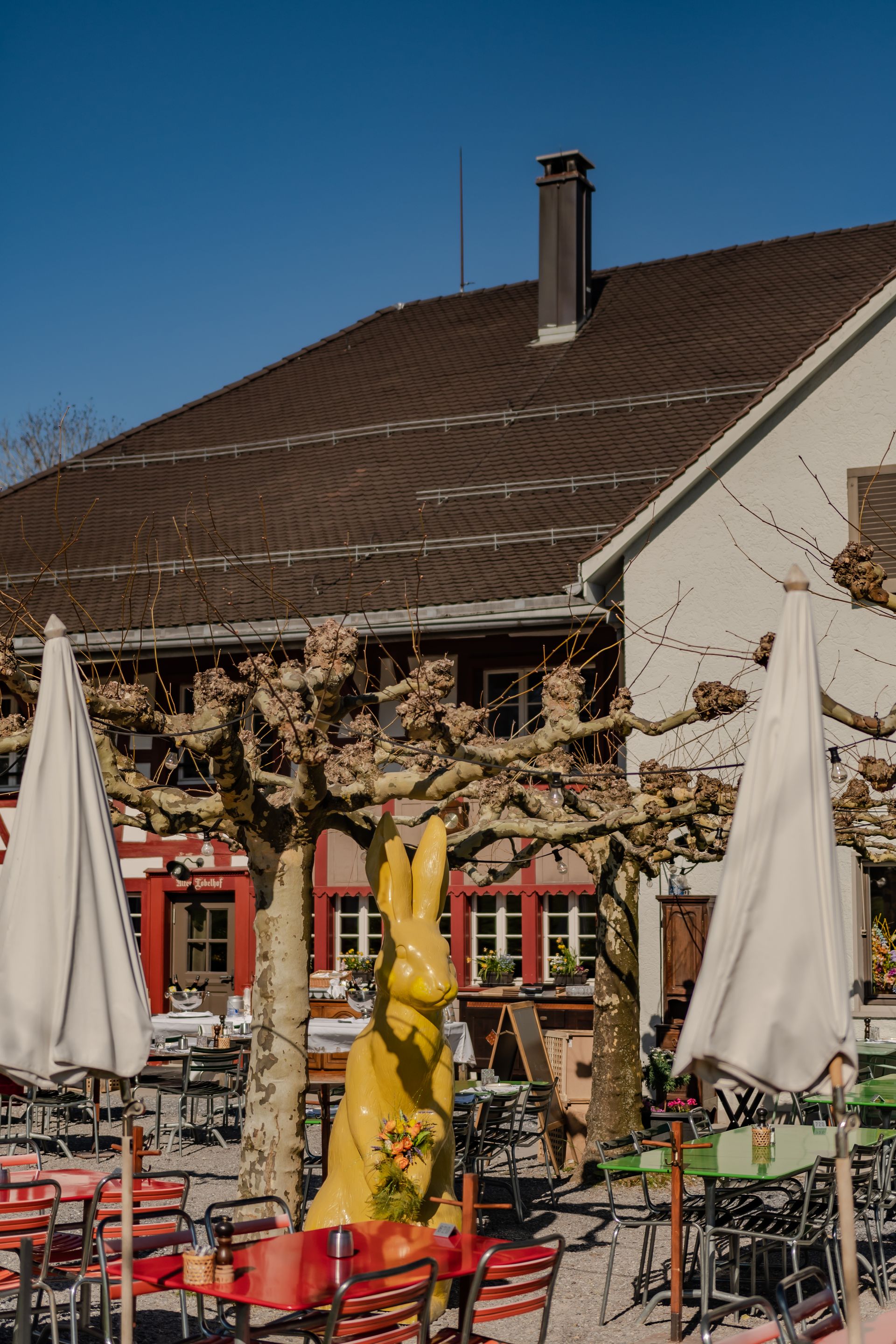 Winterkarte. Fondue. Fondue à discrétion. Raclette