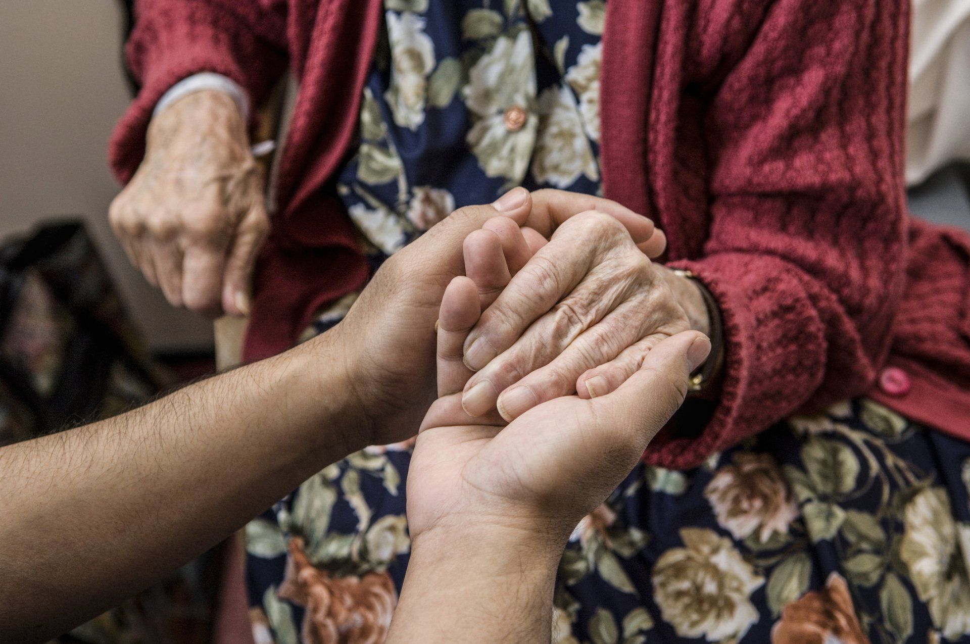 solidarietà
