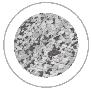 Close-up of a circular surface with a textured pattern. The pattern includes white and dark gray mottled patches.