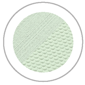 Light green circular shape; one half has linear texture, the other, a scaled pattern.