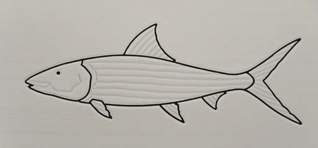 Line drawing of a fish with a pointed head, dorsal fin, and forked tail.