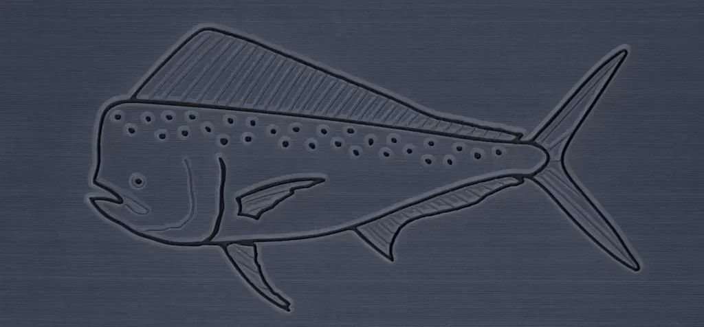 Outline of a mahi-mahi fish on a textured gray background.