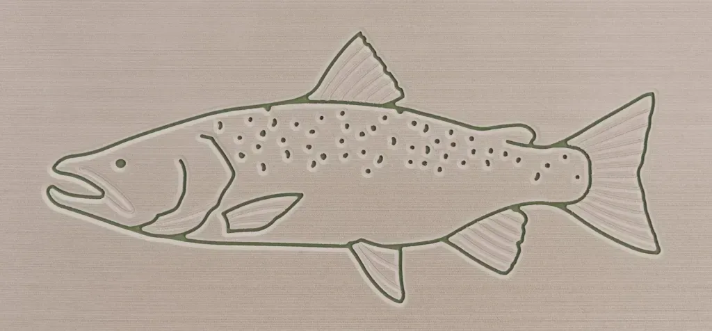 Outline of a fish with spots.