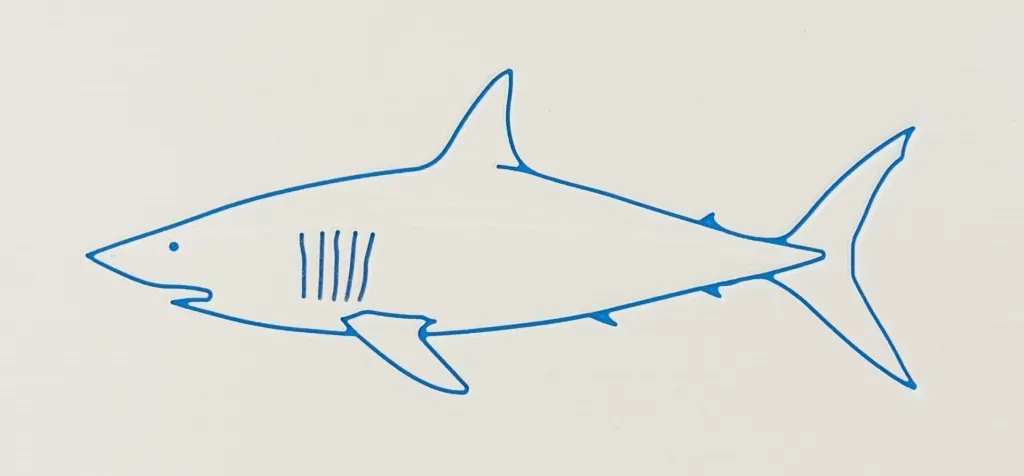 Blue line drawing of a shark on a cream background.