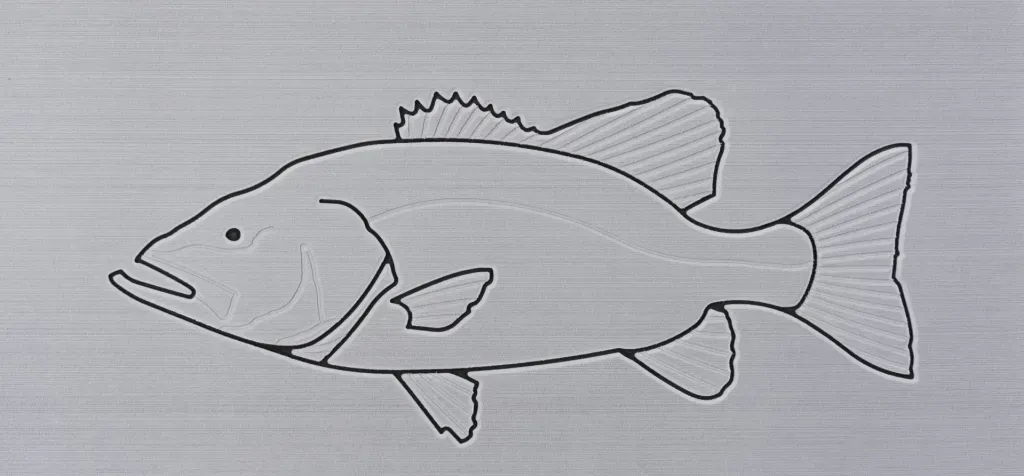 Outline of a fish on a gray background.