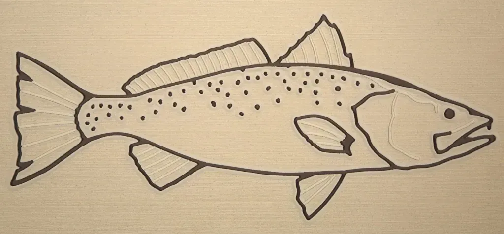 Outline drawing of a speckled fish with fins and a forked tail.