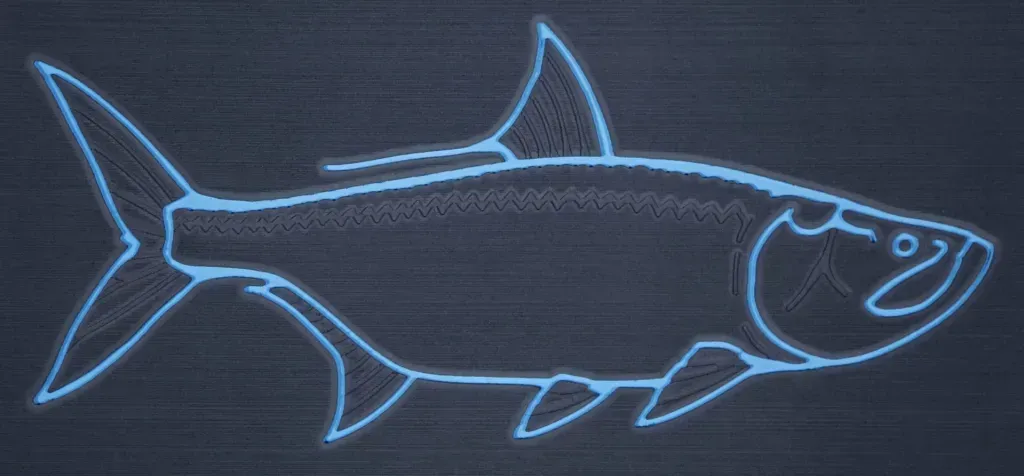 Outline of a tarpon fish in glowing blue on a dark background.