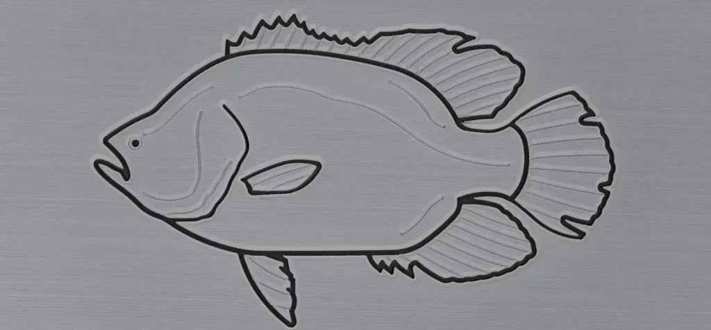 Outline of a fish on a gray background.