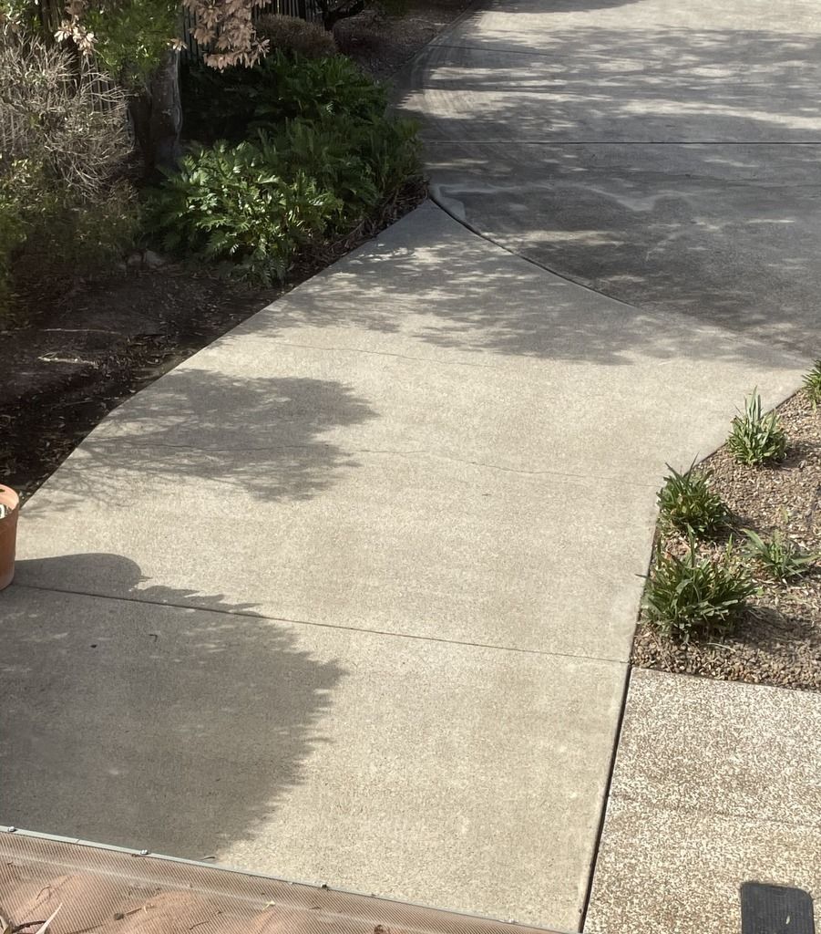 A concrete walkway with a potted plant on the side of it — Solo Reno Coatings In Gold Coast, QLD