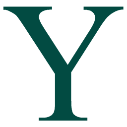 Dark green serif letter Y on a white background