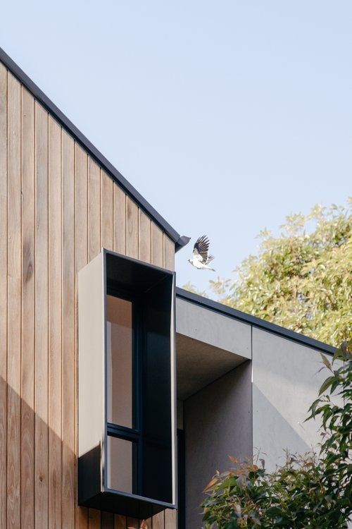 A Bird is Flying Over a House With a Window — DeBu Studios In Russell Vale, NSW