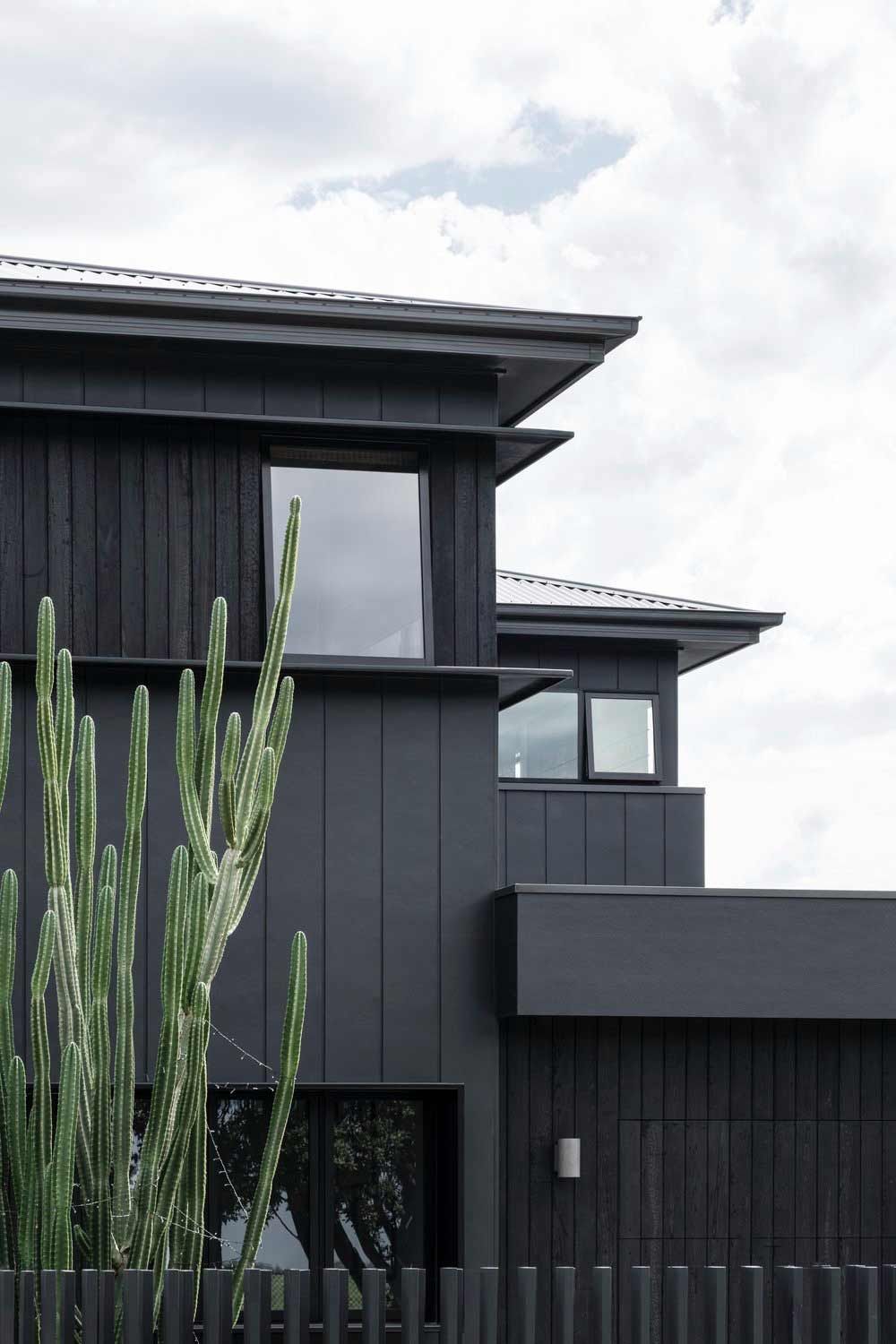 A Black House With a Cactus in Front of It — DeBu Studios In Russell Vale, NSW