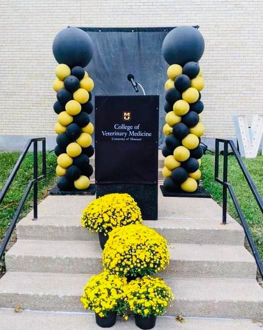 College podium on steps with black-and-gold balloons and yellow flowers at the entrance.