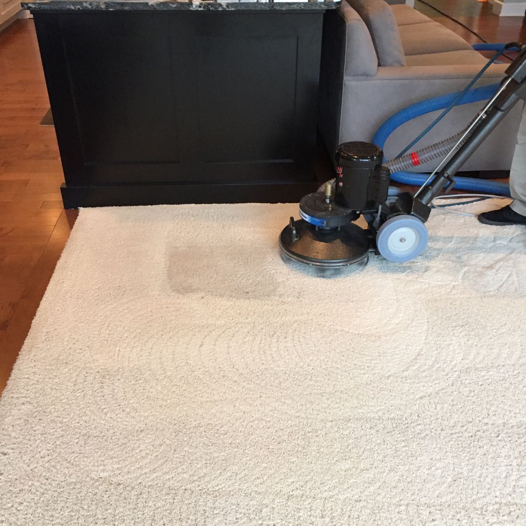 Black cabinet and blue bicycle beside a black floor buffer on a light rug in a home interior