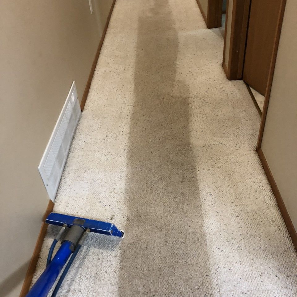 Blue floor squeegee on a hallway carpet, cleaning a long light-colored corridor