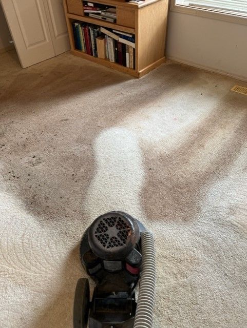 Vacuum cleaner on a carpeted floor in a sunlit room with a bookshelf and window.