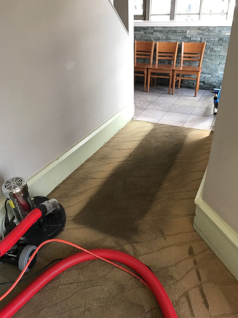 Narrow hallway with carpet runner, vacuum cleaner, and dining chairs visible at the far end.