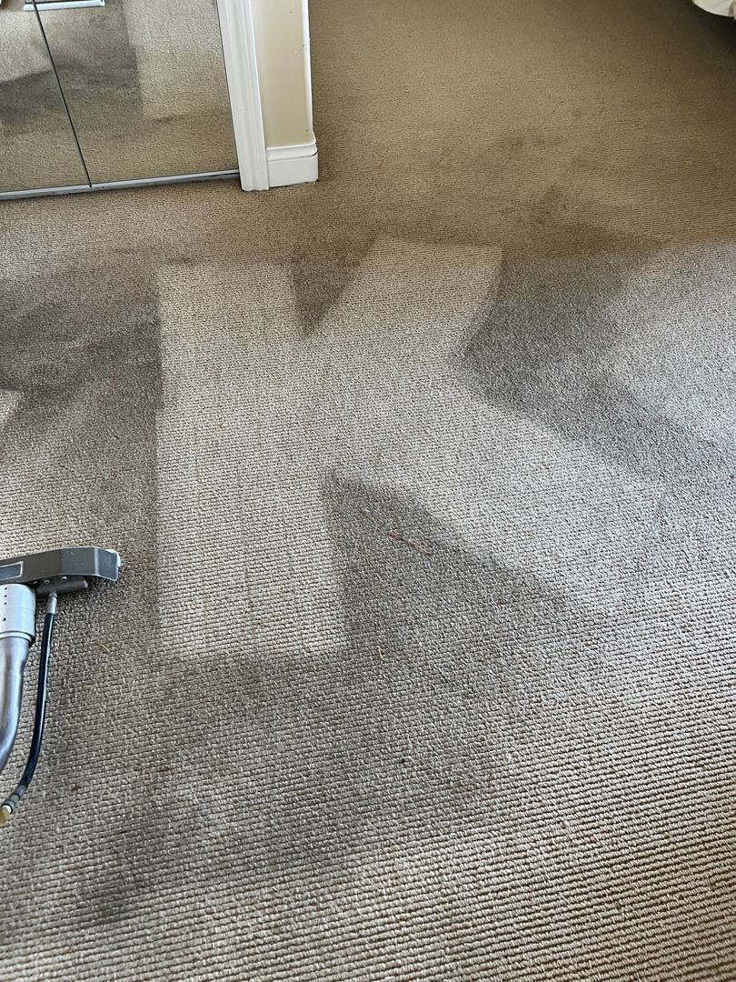 Carpet with a large light stain near a doorway, with a vacuum hose at the lower left.