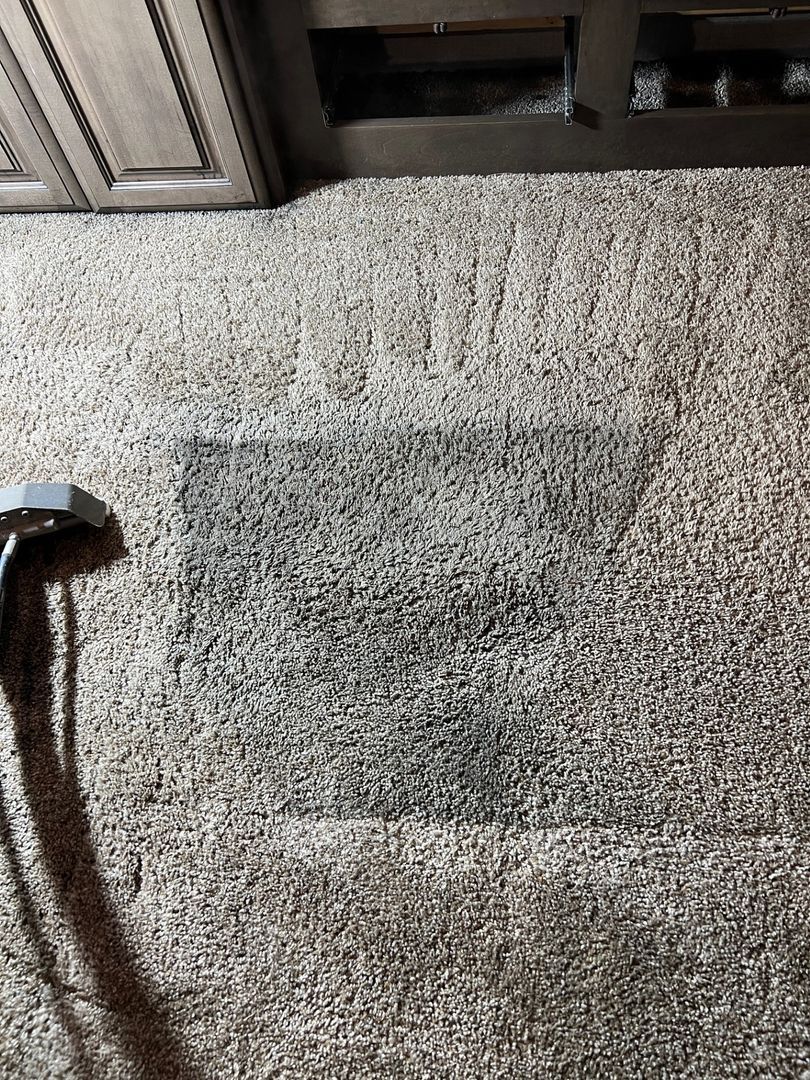Gray carpet with a darker rectangular stain near the bottom of a cabinet and vacuum hose.