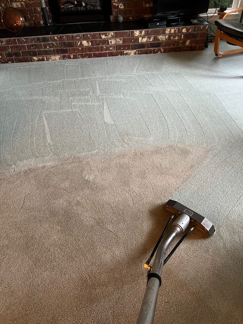 Carpet being cleaned with a steam vacuum, showing a wet cleaned area in a living room.