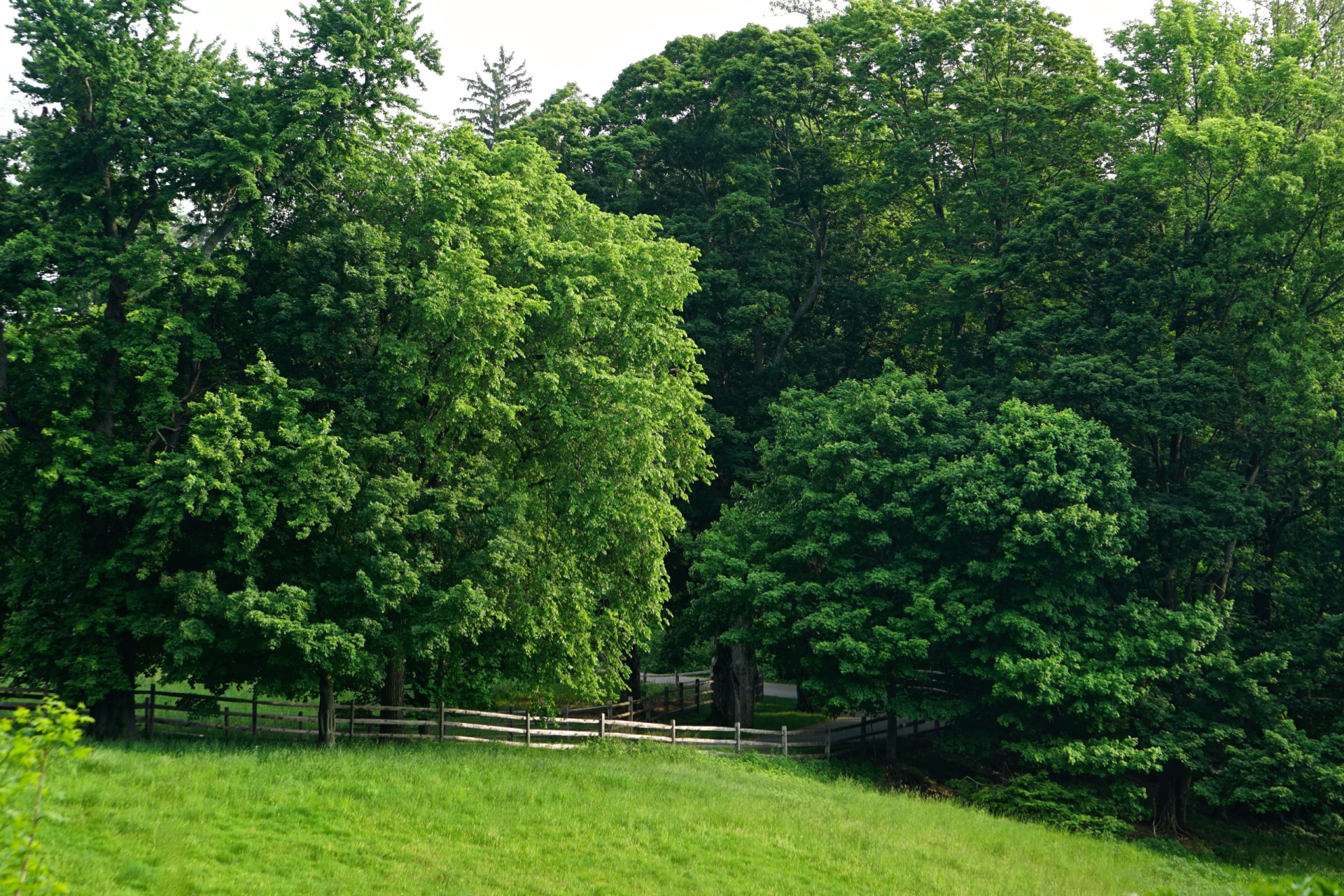 The sun is setting over the ocean and the waves are crashing on the beach.