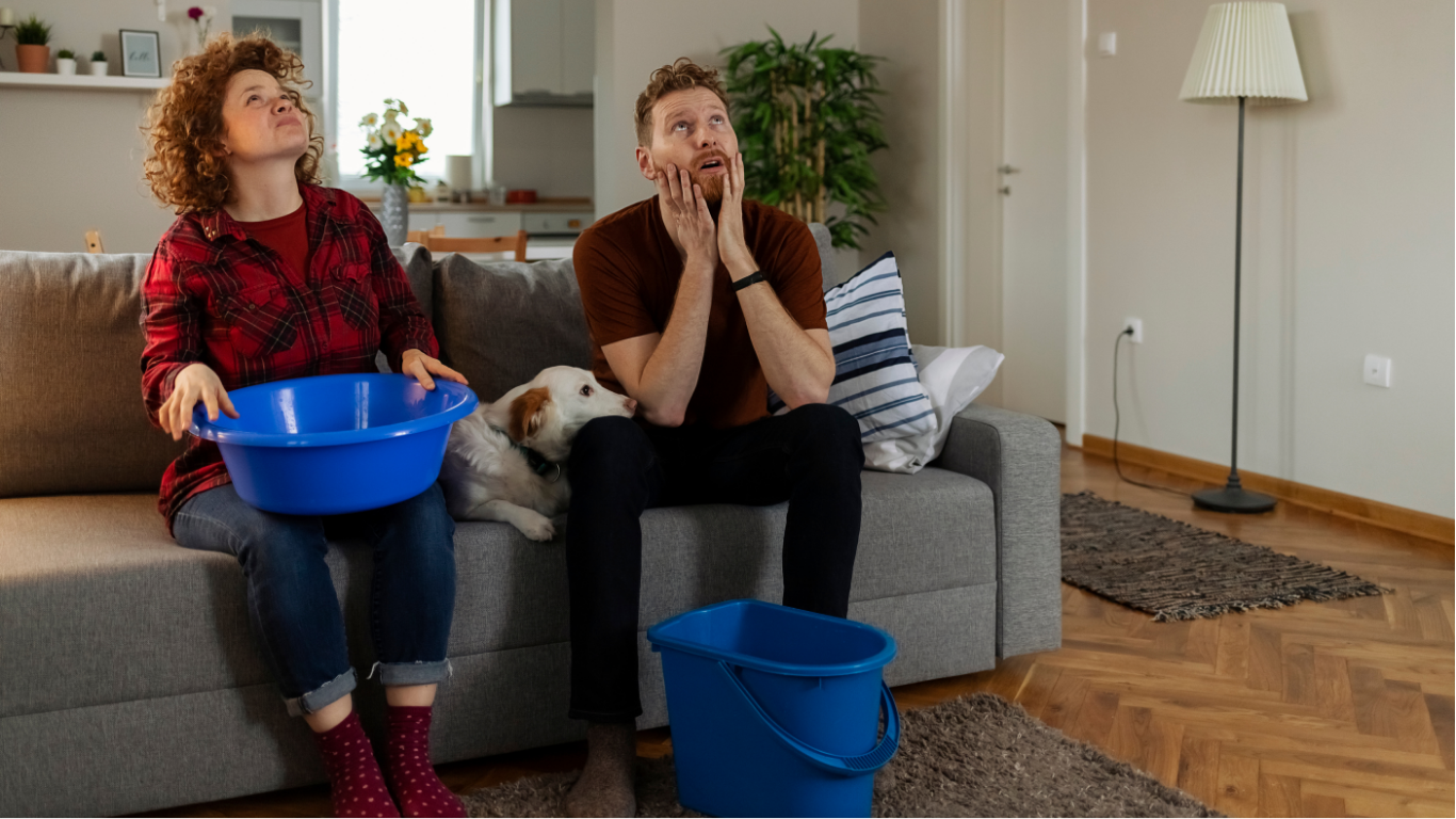 Woman and man on couch look up at ceiling, worried, with a dog. They hold buckets as water leaks.