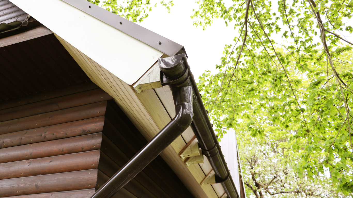 Brown gutters along a brown wooden house, with a green leafy tree in the background.