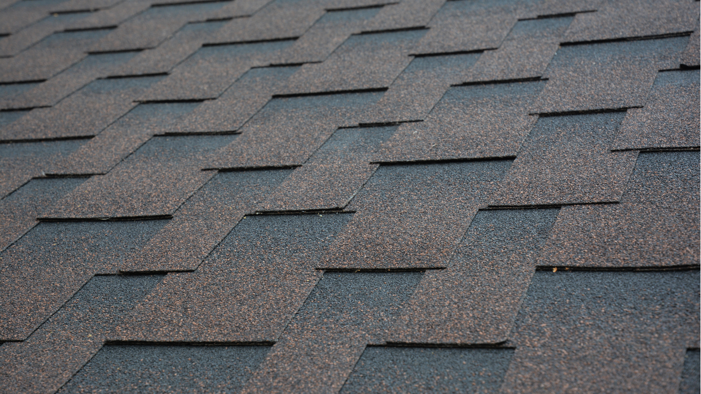 Close-up of a gray asphalt shingle roof.