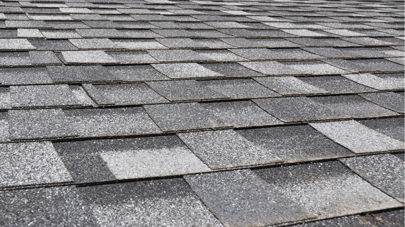 Close-up view of a shingled roof with a speckled gray and black pattern.