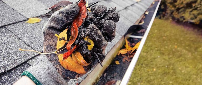 A gloved hand holds a handful of wet, dark debris removed from a rooftop gutter filled with autumn leaves.