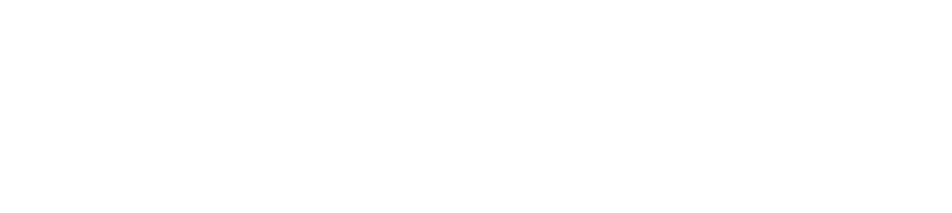 LOGO PRONTOLEGNO SRL