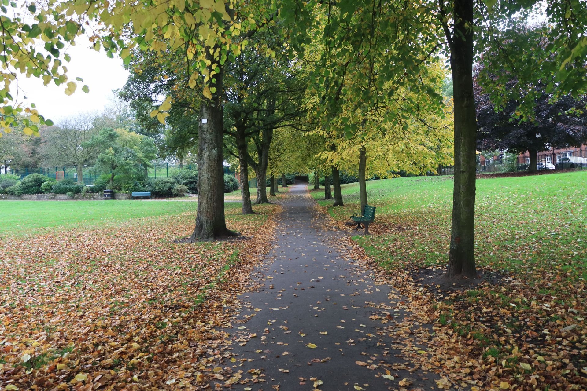 Parque Péricles de Freitas Druck
