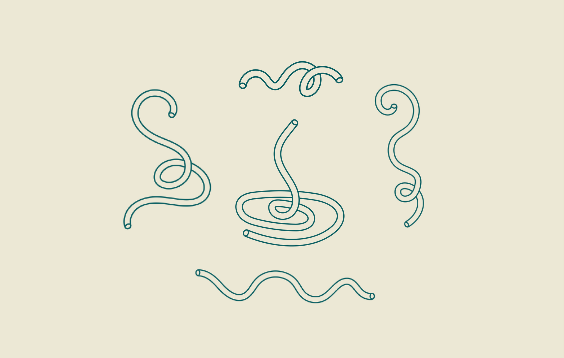 jame restaurant brand design