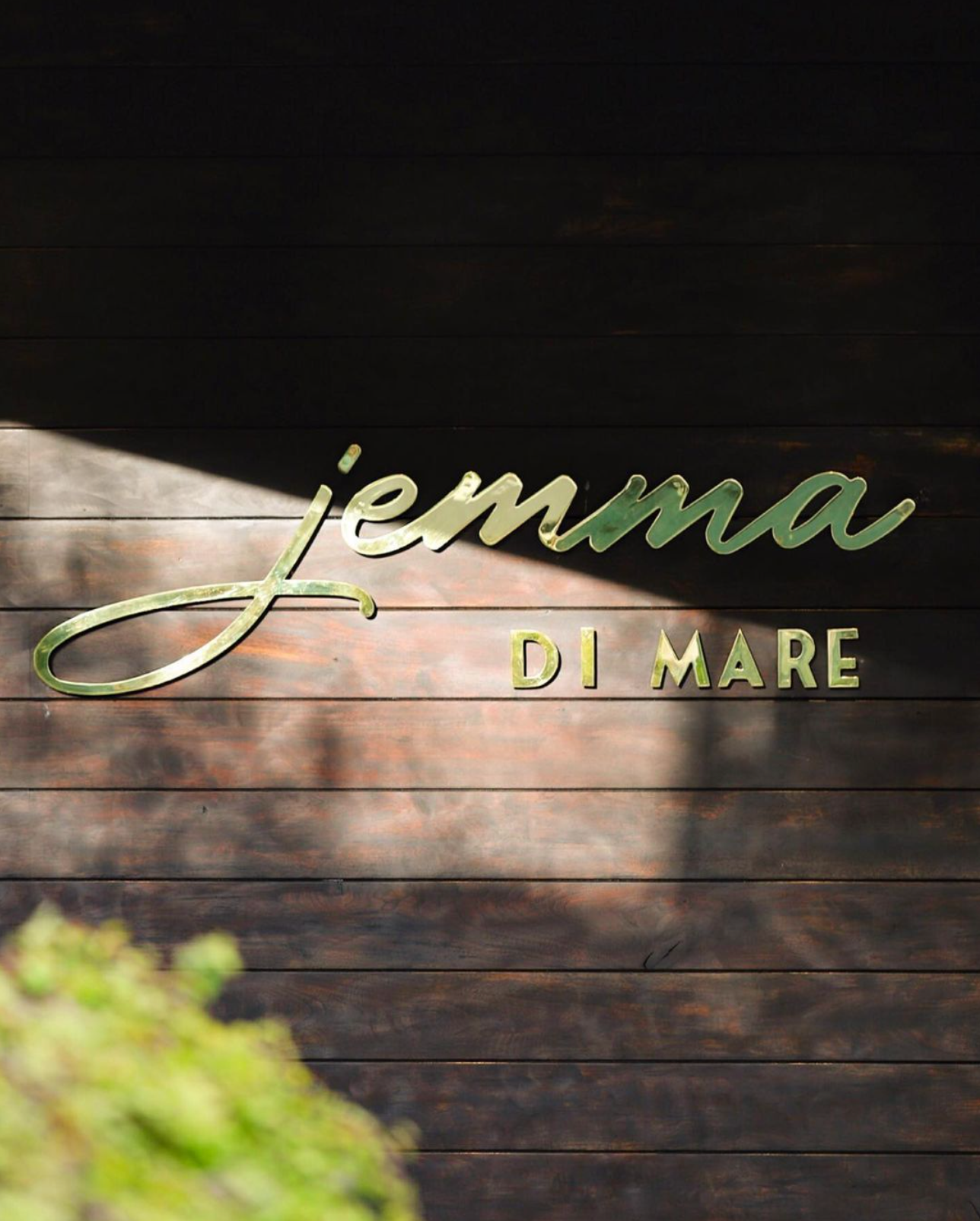 jemma di mare