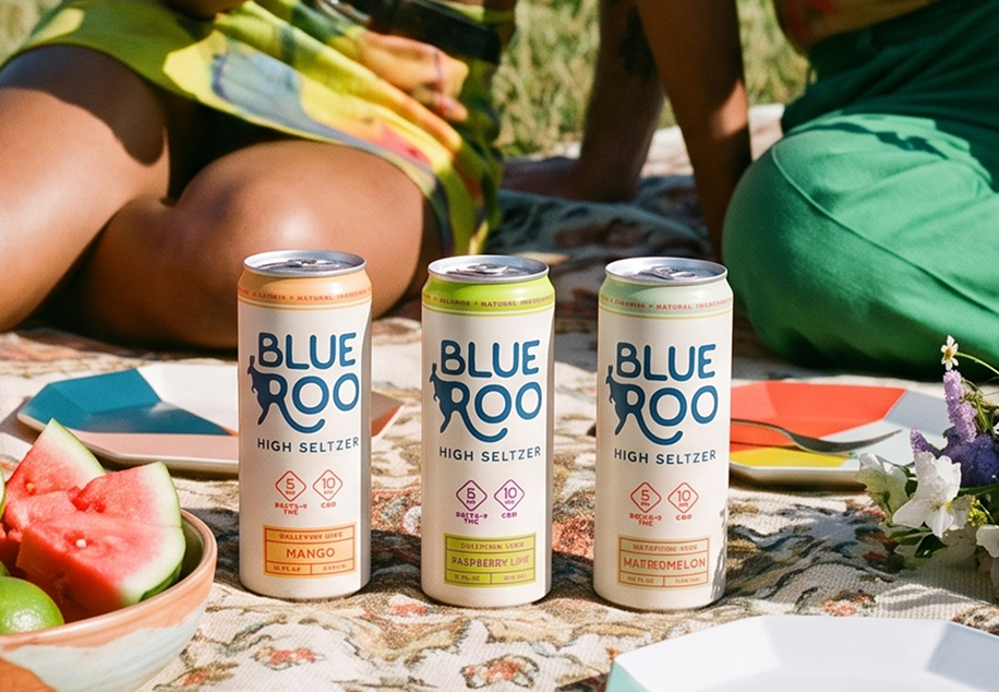 Blue R00 canned drinks on a picnic blanket with watermelon slices and two seated people