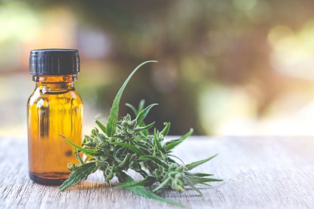 CANNABIS MEDICA: RIDUCE IL DOLORE E L'UTILIZZO DI ALTRI ANTIDOLORIFICI