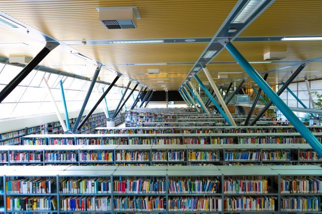 REUMATOLOGIA: I MIGLIORI LIBRI