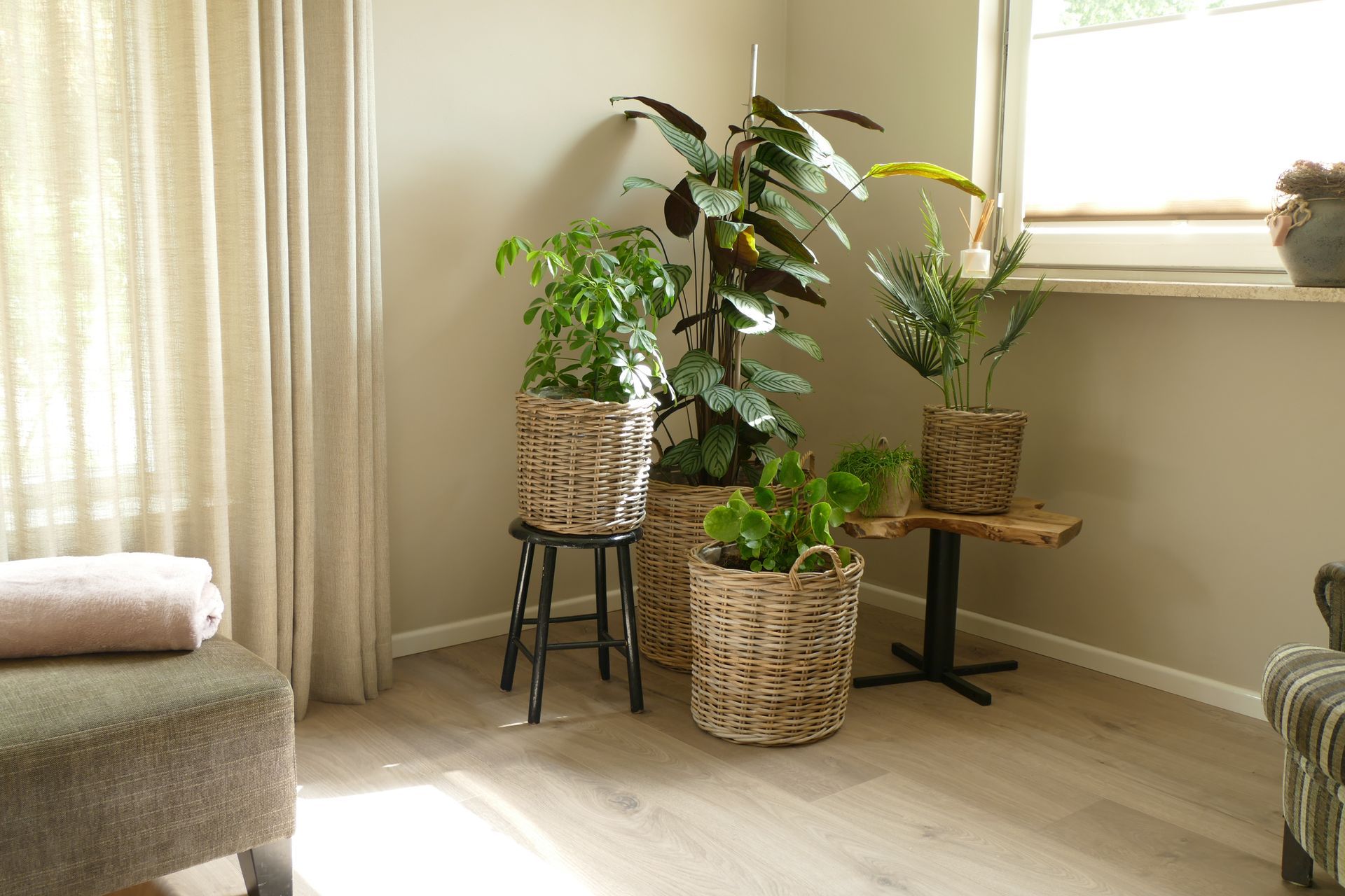 Interieur Kleuradvies lampjes Maasbree