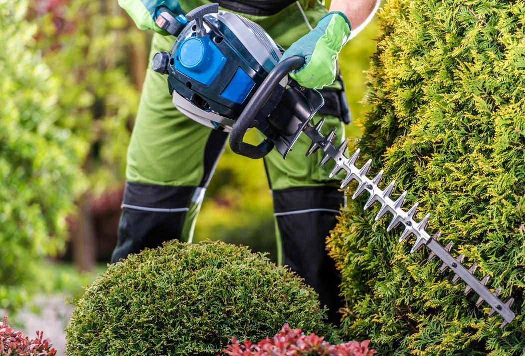 Man Trimming Hedge — Belleville, IL — WD Lawn Care Man Trimming Hedge — Belleville, IL — WD Lawn Care