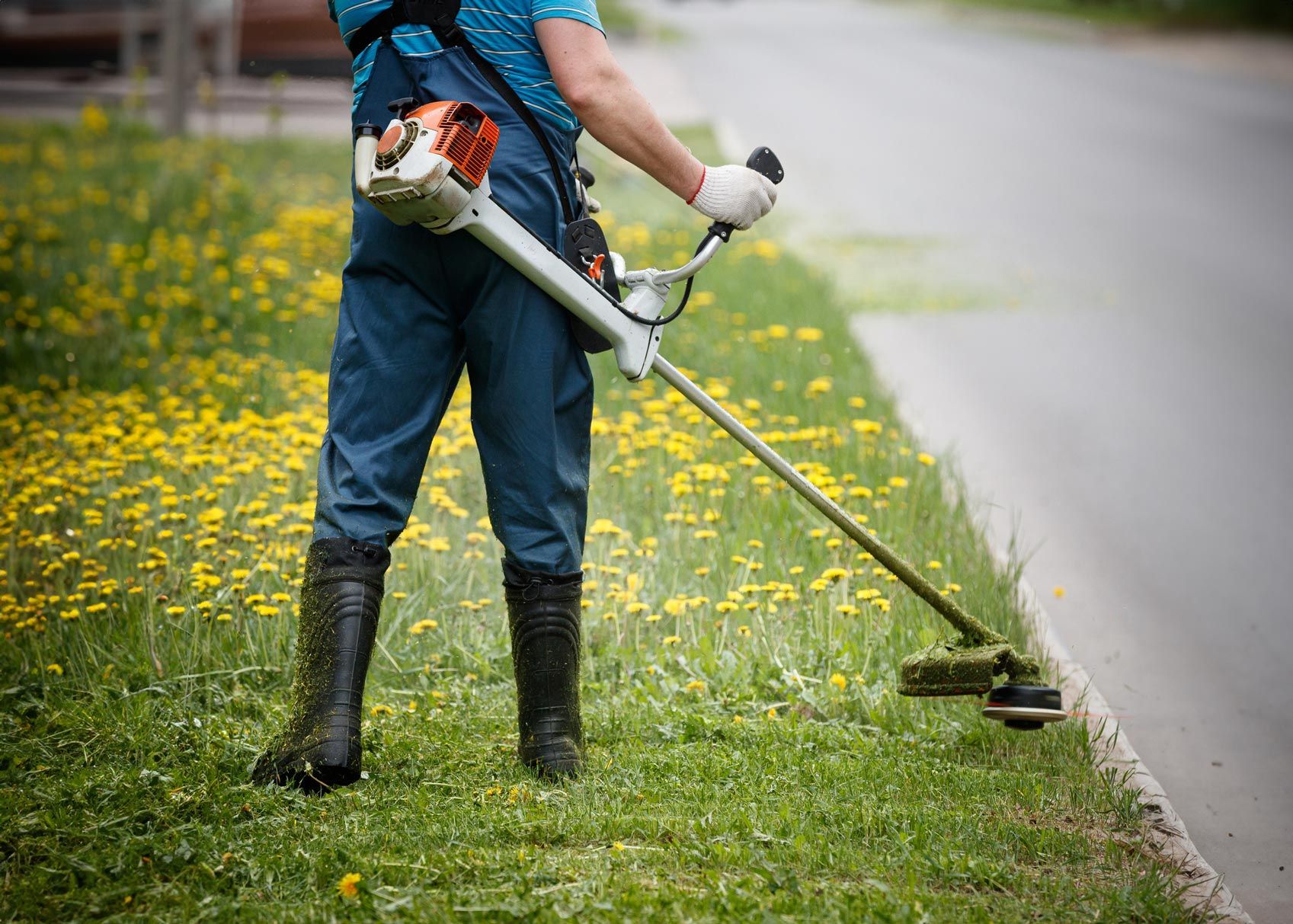 Professional Mowing The Lawn — Belleville, IL — WD Lawn Care Professional Mowing The Lawn — Belleville, IL — WD Lawn Care