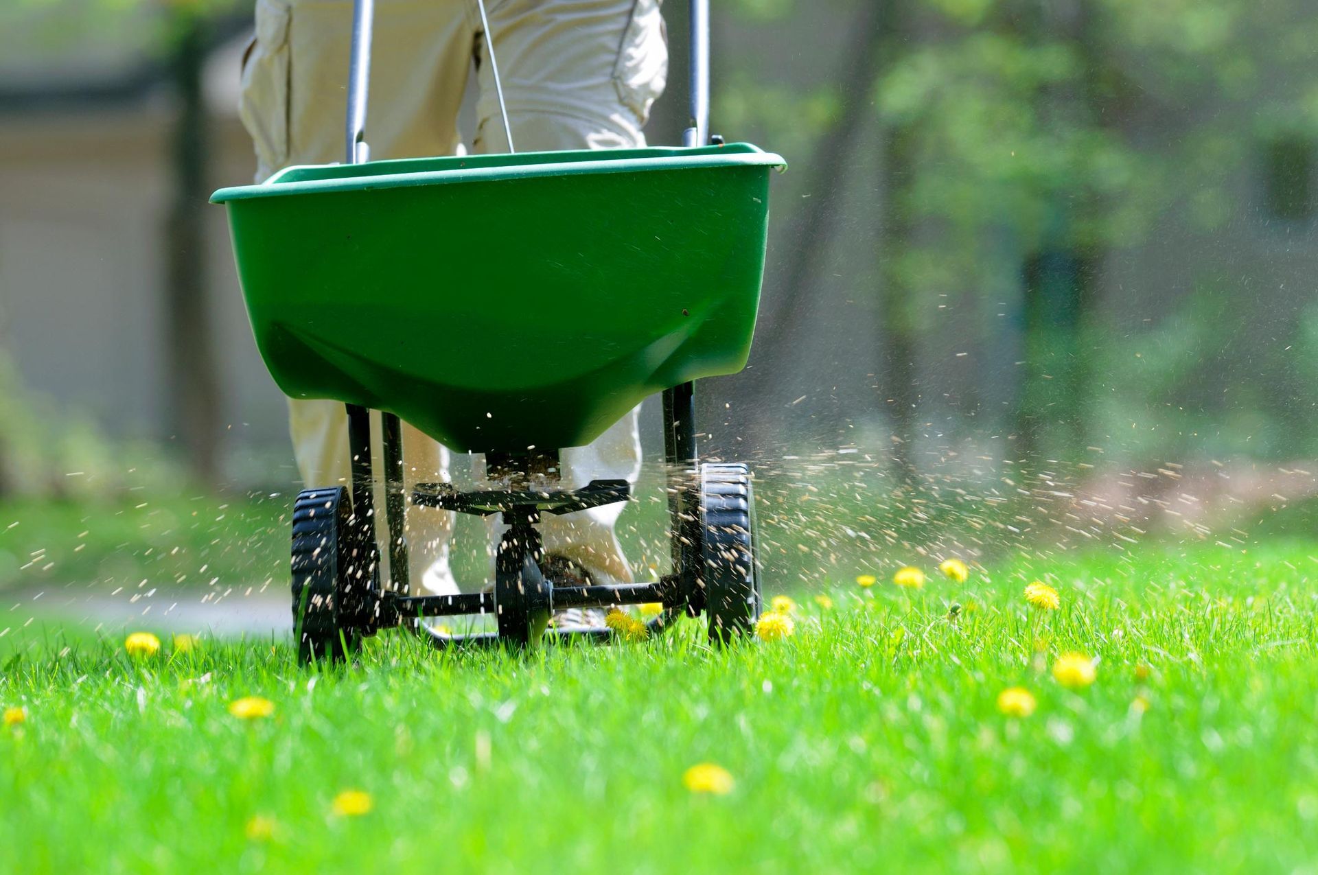 Spreading Fertilizer — Belleville, IL — WD Lawn Care Spreading Fertilizer — Belleville, IL — WD Lawn Care