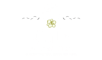logo-image