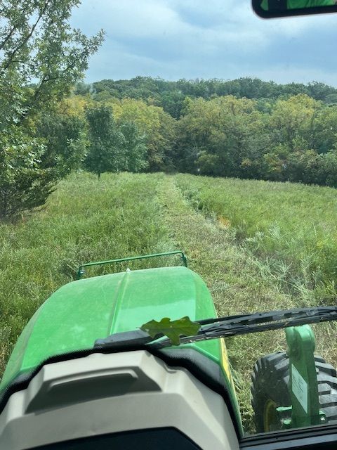 Lawnmower cutting green grass in a field on a sunny day.